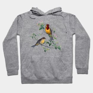 Finches Hoodie